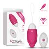 IJOY Wireless Remote Control Rechargeable Egg - foto 1